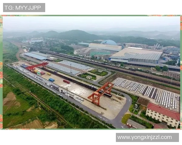 上海足球队进攻革新之路探秘与未来展望